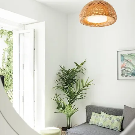 Charming And Cozy Apartment *